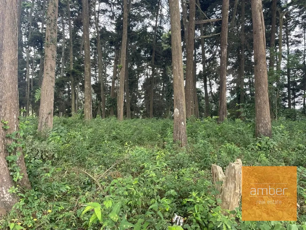Terreno Km 13.1 CES, Finca el Socorro — Terreno en Venta en Carretera a El Salvador, Guatemala, Ciudad — foto 6 de 7