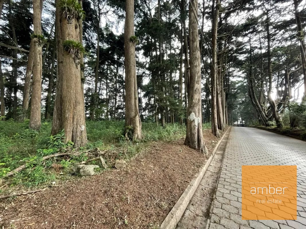 Terreno Km 13.1 CES, Finca el Socorro — Terreno en Venta en Carretera a El Salvador, Guatemala, Ciudad — foto 1 de 7