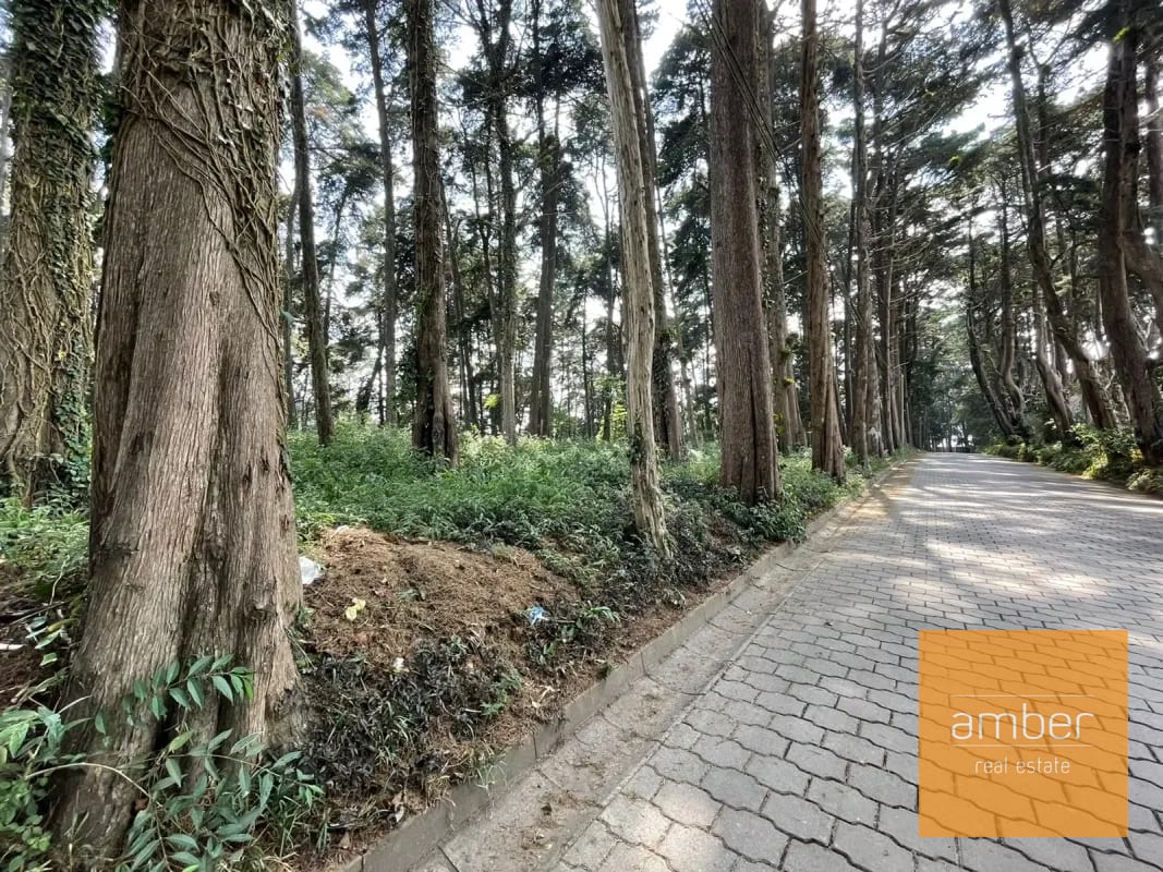 Terreno Km 13.1 CES, Finca el Socorro — Terreno en Venta en Carretera a El Salvador, Guatemala, Ciudad — foto 5 de 7