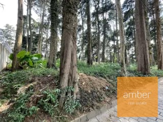 Terreno Km 13.1 CES, Finca el Socorro — Terreno en Venta en Carretera a El Salvador, Guatemala, Ciudad — miniatura 4 de 7