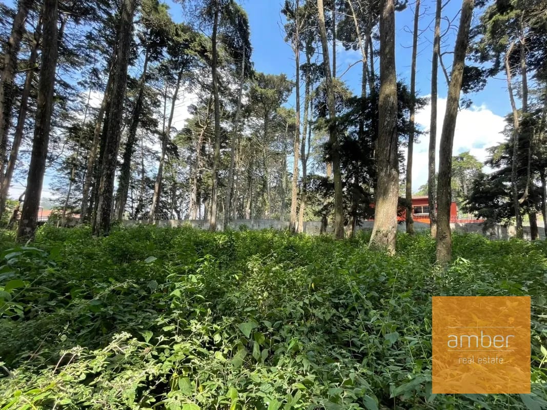 Terreno Km 13.1 CES, Finca el Socorro — Terreno en Venta en Carretera a El Salvador, Guatemala, Ciudad — foto 3 de 7