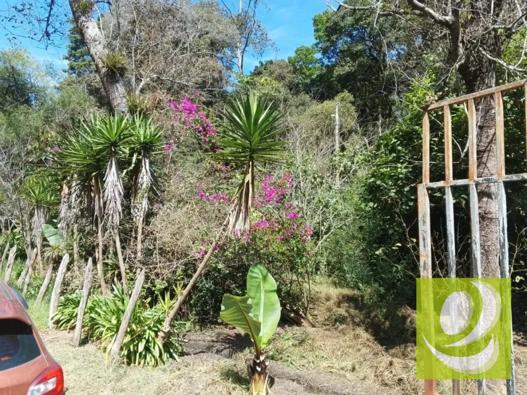 Vendo Finca en San Pedro Sacatepequez — Finca en Venta en San Pedro Sacatepéquez, Sacatepéquez — foto 3 de 3