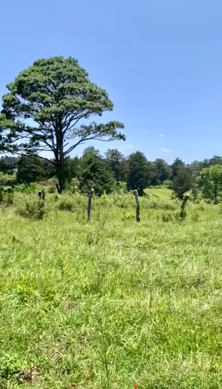 VENDO HERMOSO TERRENO EN CARRETERA A MATAQUESCUINTLA, SAN JOSÉ PINULA — Terreno en Venta en San José Pinula, Guatemala, Ciudad — foto 8 de 8