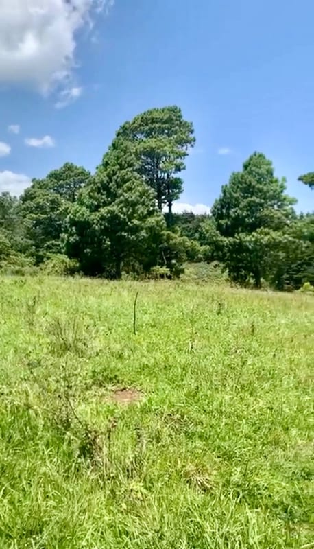 VENDO HERMOSO TERRENO EN CARRETERA A MATAQUESCUINTLA, SAN JOSÉ PINULA — Terreno en Venta en San José Pinula, Guatemala, Ciudad — foto 7 de 8