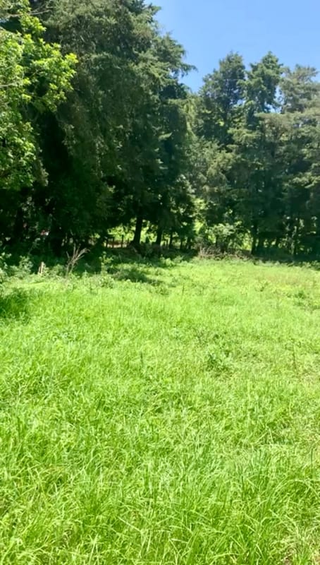 VENDO HERMOSO TERRENO EN CARRETERA A MATAQUESCUINTLA, SAN JOSÉ PINULA — Terreno en Venta en San José Pinula, Guatemala, Ciudad — foto 6 de 8