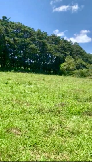 VENDO HERMOSO TERRENO EN CARRETERA A MATAQUESCUINTLA, SAN JOSÉ PINULA — Terreno en Venta en San José Pinula, Guatemala, Ciudad — miniatura 5 de 8