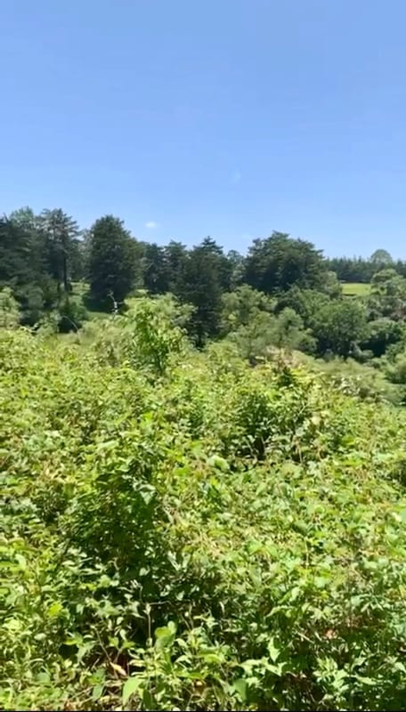 VENDO HERMOSO TERRENO EN CARRETERA A MATAQUESCUINTLA, SAN JOSÉ PINULA — Terreno en Venta en San José Pinula, Guatemala, Ciudad — foto 4 de 8