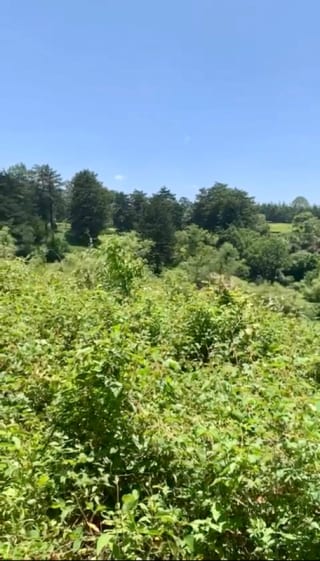 VENDO HERMOSO TERRENO EN CARRETERA A MATAQUESCUINTLA, SAN JOSÉ PINULA — Terreno en Venta en San José Pinula, Guatemala, Ciudad — miniatura 4 de 8