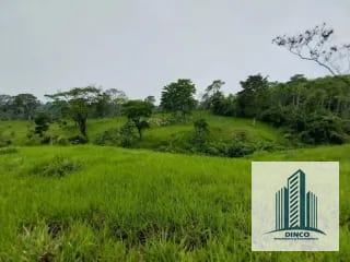 Vendo Finca en Chicacao, Suchitepequez — Finca en Venta en Mazatenango, Suchitepéquez — miniatura 1 de 6