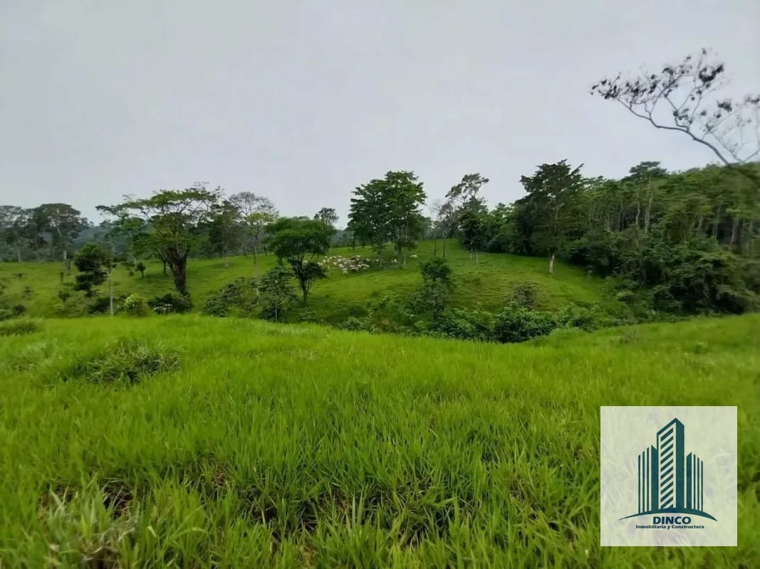 Vendo Finca en Chicacao, Suchitepequez — Finca en Venta en Mazatenango, Suchitepéquez — foto 1 de 6