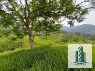 Vendo Finca en Chicacao, Suchitepequez — Finca en Venta en Mazatenango, Suchitepéquez — miniatura 6 de 6