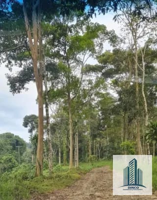 Vendo Finca en Chicacao, Suchitepequez — Finca en Venta en Mazatenango, Suchitepéquez — miniatura 4 de 6