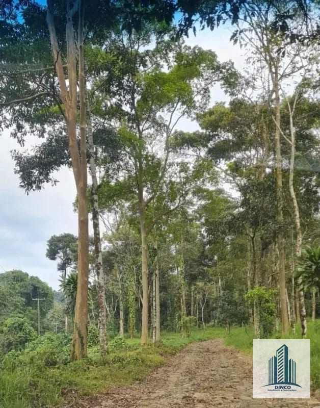 Vendo Finca en Chicacao, Suchitepequez — Finca en Venta en Mazatenango, Suchitepéquez — foto 4 de 6