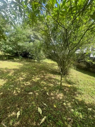 VENDO TERRENO EN CARRETERA A EL SALVADOR — Terreno en Venta en Fraijanes, Carretera a El Salvador, Guatemala, Ciudad — miniatura 6 de 9