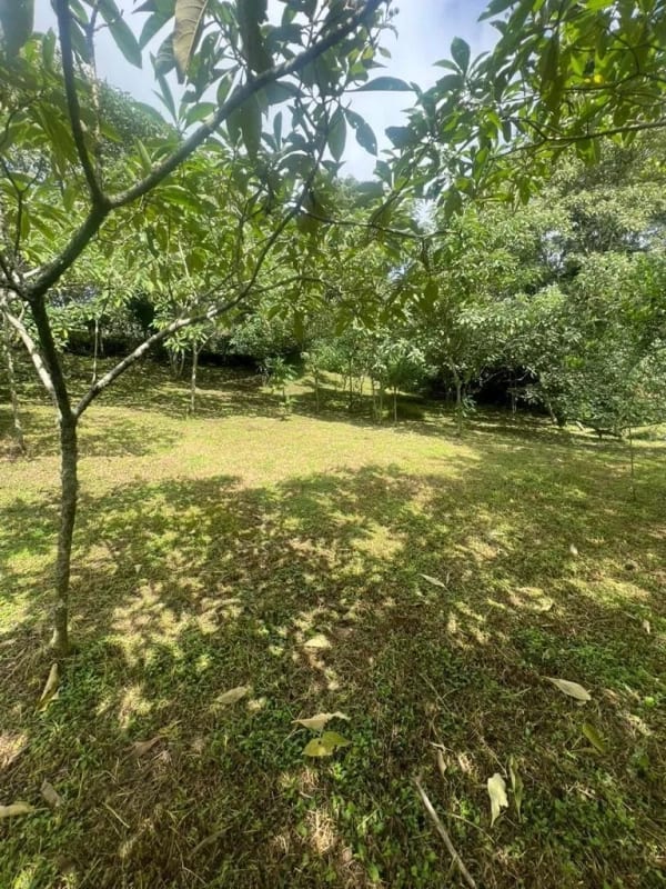 VENDO TERRENO EN CARRETERA A EL SALVADOR — Terreno en Venta en Fraijanes, Carretera a El Salvador, Guatemala, Ciudad — foto 5 de 9