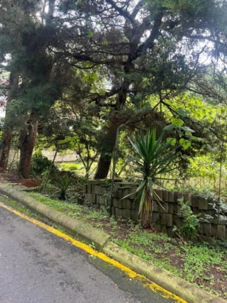 VENDO TERRENO EN CARRETERA A EL SALVADOR — Terreno en Venta en Fraijanes, Carretera a El Salvador, Guatemala, Ciudad — miniatura 4 de 9