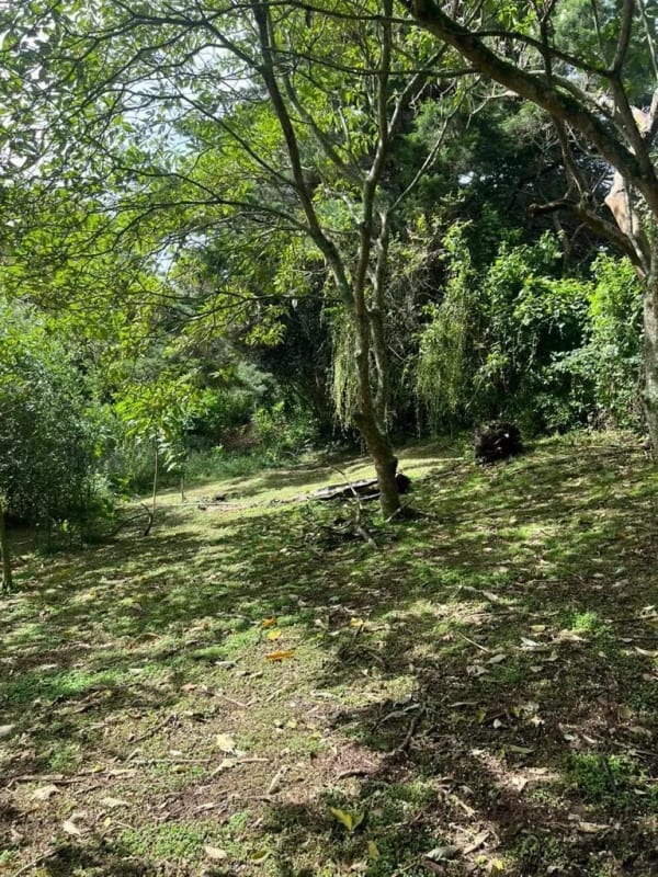 VENDO TERRENO EN CARRETERA A EL SALVADOR — Terreno en Venta en Fraijanes, Carretera a El Salvador, Guatemala, Ciudad — foto 2 de 9