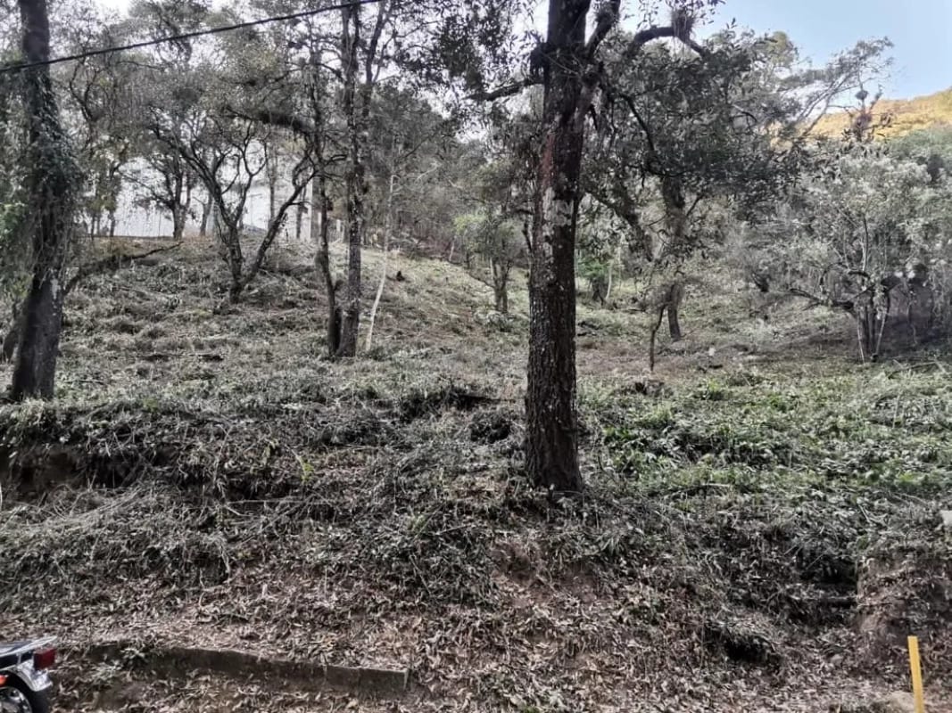 Terreno en Venta - Tronco 8 El Encinal, zona 7 Mixco — Terreno en Venta en El Encinal, Zona 7 Mixco, Guatemala, Ciudad — foto 4 de 4