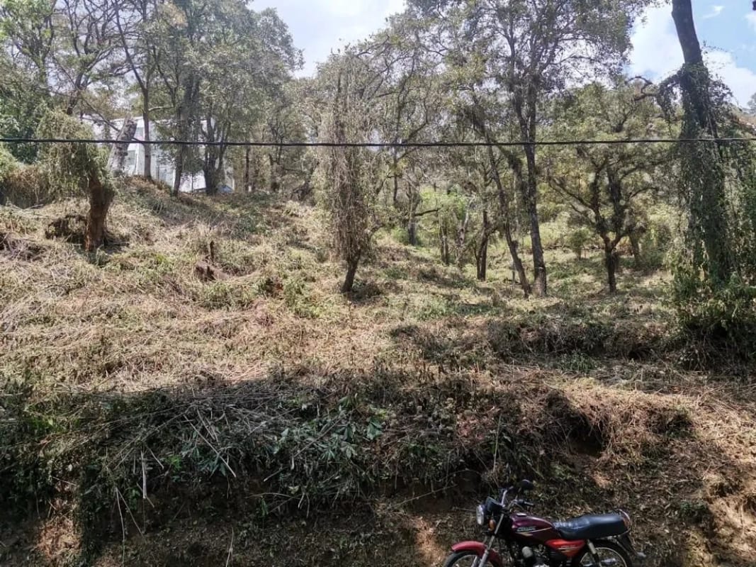 Terreno en Venta - Tronco 8 El Encinal, zona 7 Mixco — Terreno en Venta en El Encinal, Zona 7 Mixco, Guatemala, Ciudad — foto 3 de 4