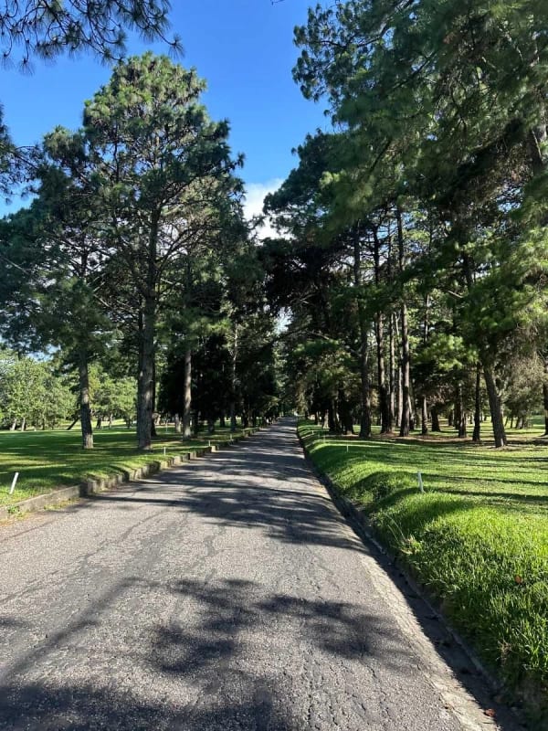 Preciosos terreno Plano Country Club Guatemala zona 11 — Terreno en Venta en Zona 11, Guatemala, Ciudad — foto 3 de 3