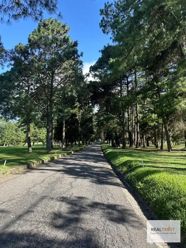 Precioso terreno plano Country Club Guatemala zona 11 — Terreno en Venta en Zona 11, Guatemala, Ciudad — foto 2 de 8
