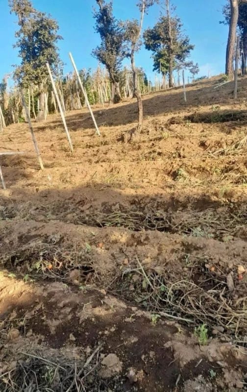 TERRENO en venta, Santa Marta, Sumpango — Terreno en Venta en Sumpango, Sacatepéquez — foto 1 de 2