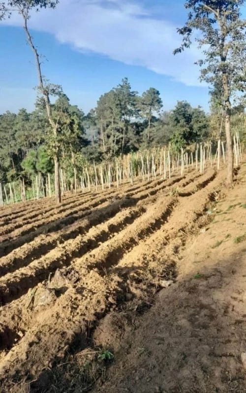 TERRENO en venta, Santa Marta, Sumpango — Terreno en Venta en Sumpango, Sacatepéquez — foto 2 de 2