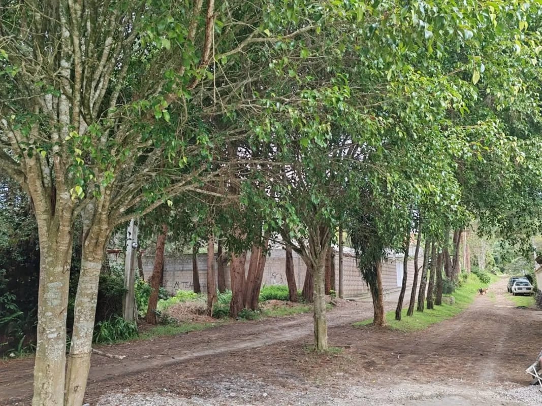 Terreno en VENTA, SANTA AMELIA SANTIAGO SACATQPEQUEZ — Terreno en Venta en Santiago Sacatepéquez, Sacatepéquez — foto 5 de 10
