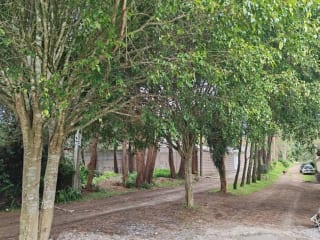 Terreno en VENTA, SANTA AMELIA SANTIAGO SACATQPEQUEZ — Terreno en Venta en Santiago Sacatepéquez, Sacatepéquez — miniatura 5 de 10