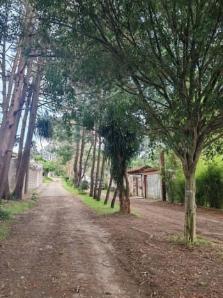 Terreno en VENTA, SANTA AMELIA SANTIAGO SACATQPEQUEZ — Terreno en Venta en Santiago Sacatepéquez, Sacatepéquez — miniatura 3 de 10
