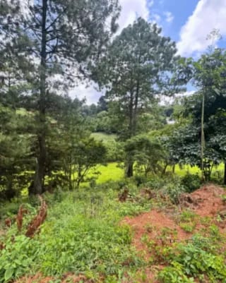 TERRENO EN VENTA ZONA16 EN EL PULTE ECUESTRE — Terreno en Venta en El Pulté Ecuestre, Zona 16, Guatemala, Ciudad — miniatura 3 de 11