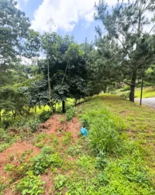TERRENO EN VENTA ZONA16 EN EL PULTE ECUESTRE — Terreno en Venta en El Pulté Ecuestre, Zona 16, Guatemala, Ciudad — miniatura 2 de 11