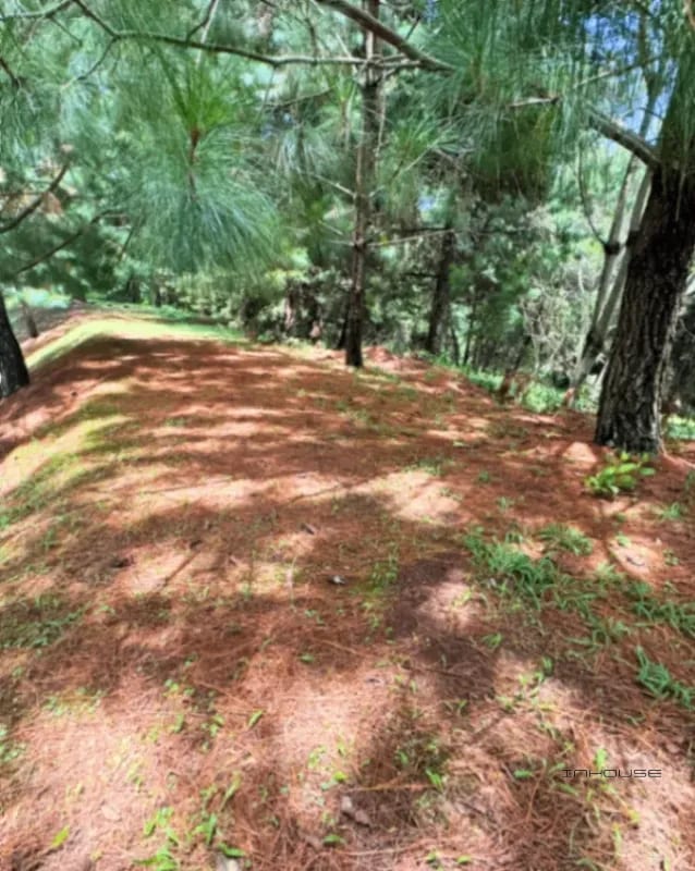 TERRENO EN VENTA EN EL PULTE ECUESTRE ZONA16 — Terreno en Venta en Zona 16, Guatemala, Ciudad — foto 2 de 11