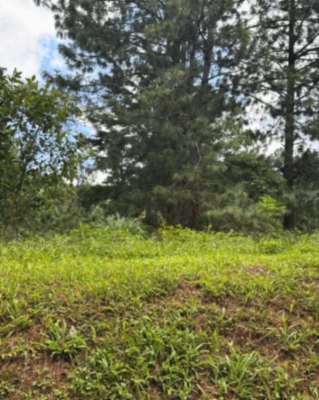 TERRENO EN VENTA EN EL PULTE ECUESTRE ZONA16 — Terreno en Venta en Zona 16, Guatemala, Ciudad — foto 9 de 11