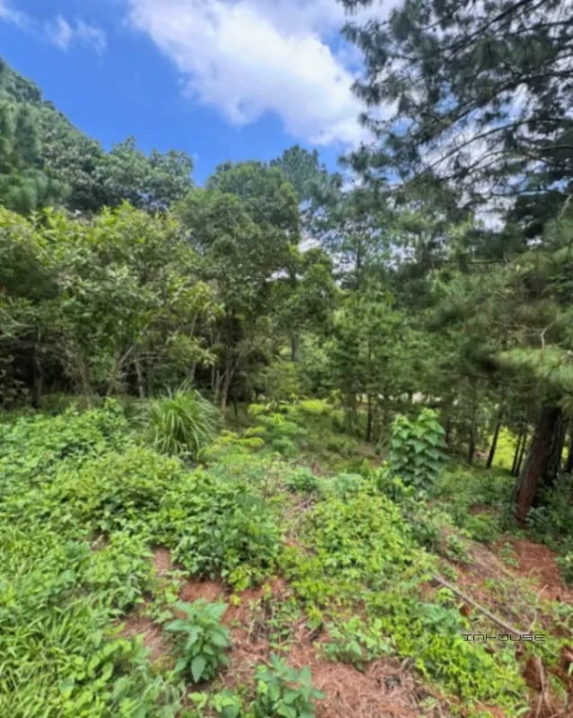 TERRENO EN VENTA EN EL PULTE ECUESTRE ZONA16 — Terreno en Venta en Zona 16, Guatemala, Ciudad — foto 10 de 11