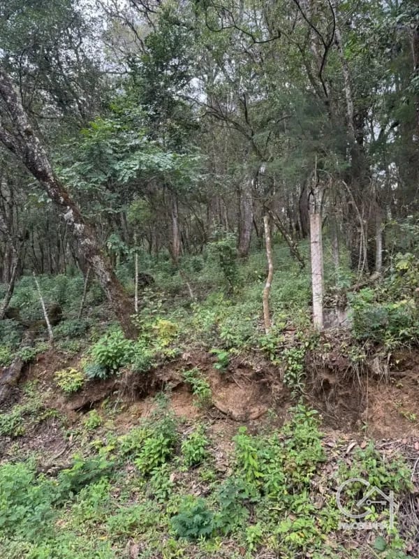 Terreno en Venta - Tronco 10 El Encinal, zona 7 Mixco — Terreno en Venta en El Encinal, Zona 7 Mixco, Guatemala, Ciudad — foto 6 de 6