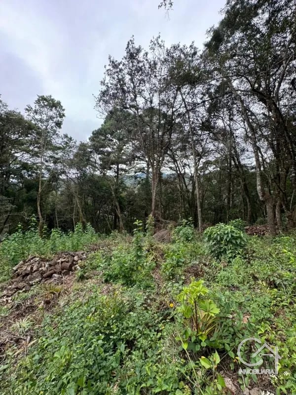 Terreno en Venta - Tronco 10 El Encinal, zona 7 Mixco — Terreno en Venta en El Encinal, Zona 7 Mixco, Guatemala, Ciudad — foto 5 de 6