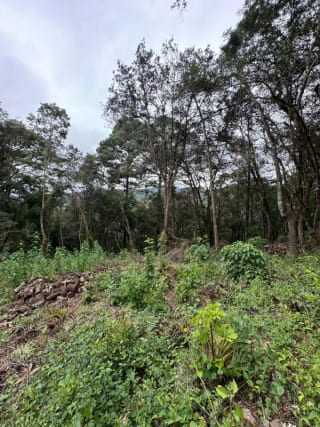 Terreno en Venta -  Tronco 10 El Encinal, zona 7 Mixco — Terreno en Venta en El Encinal, Zona 7 Mixco, Guatemala, Ciudad — miniatura 5 de 6