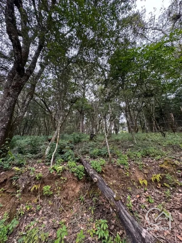 Terreno en Venta - Tronco 10 El Encinal, zona 7 Mixco — Terreno en Venta en El Encinal, Zona 7 Mixco, Guatemala, Ciudad — foto 4 de 6