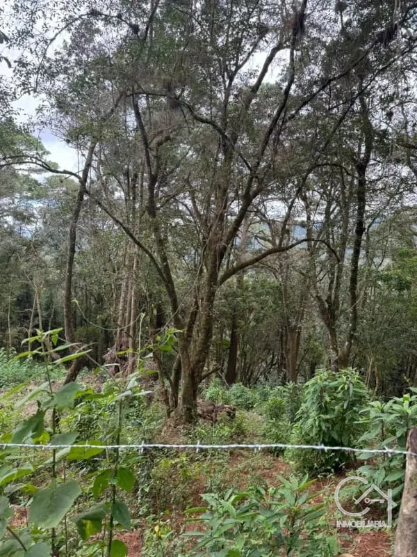 Terreno en Venta - Tronco 10 El Encinal, zona 7 Mixco — Terreno en Venta en El Encinal, Zona 7 Mixco, Guatemala, Ciudad — foto 3 de 6