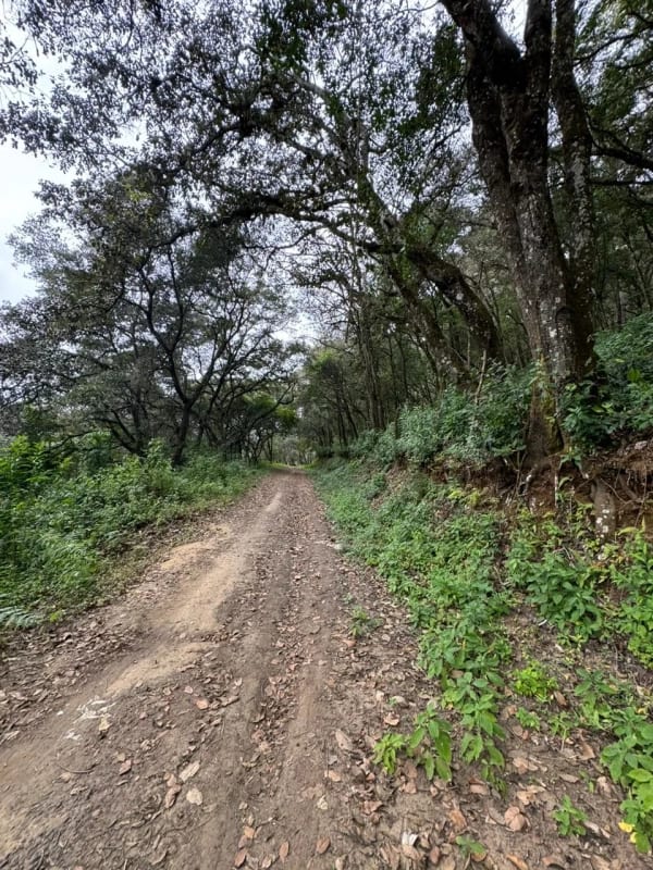 Terreno en Venta - Tronco 10 El Encinal, zona 7 Mixco — Terreno en Venta en El Encinal, Zona 7 Mixco, Guatemala, Ciudad — foto 2 de 6