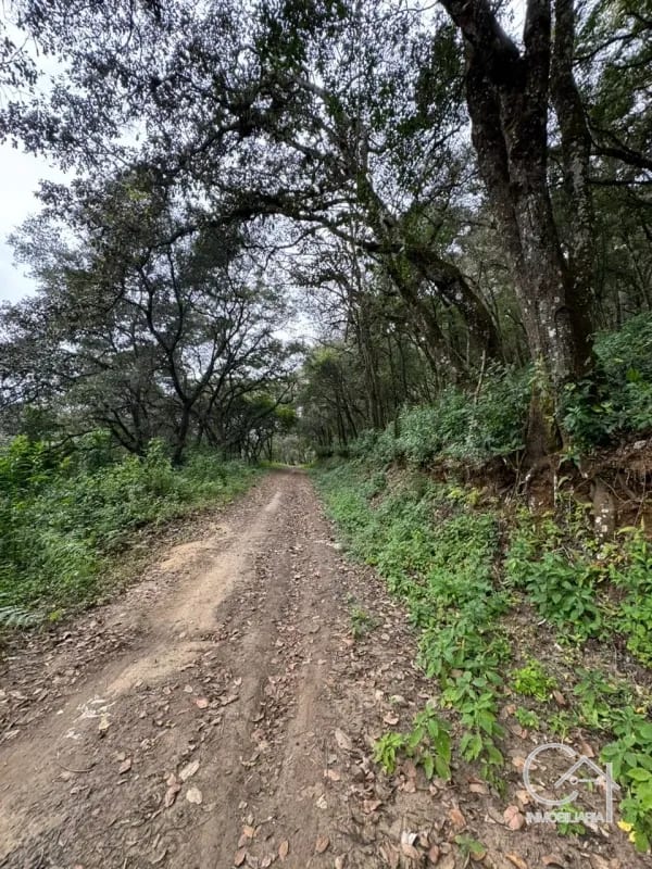 Terreno en Venta - Tronco 10 El Encinal, zona 7 Mixco — Terreno en Venta en El Encinal, Zona 7 Mixco, Guatemala, Ciudad — foto 2 de 6