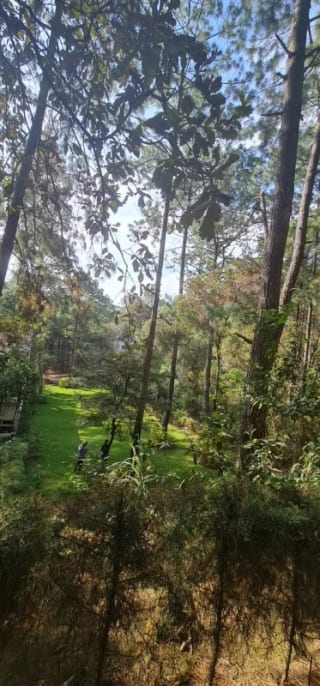 Terreno en Venta - Praderas de  Bambú, San Raymundo — Terreno en Venta en San Raimundo, Guatemala, Ciudad — miniatura 9 de 11