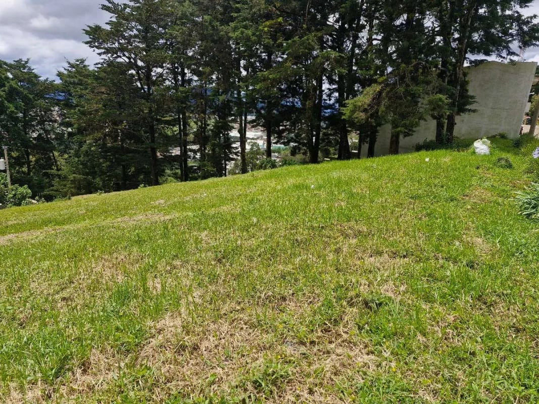 Terreno en Venta, Aldea el Pajón, CAES — Terreno en Venta en Carretera a El Salvador, Guatemala, Ciudad — foto 2 de 3
