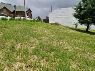 Terreno en Venta, Aldea el Pajón, CAES — Terreno en Venta en Carretera a El Salvador, Guatemala, Ciudad — miniatura 3 de 3