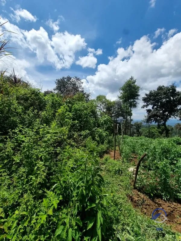 Terreno en Venta en Finca Los Manzanales, Santiago Sacatepéquez, Sacatepéquez — Terreno en Venta en Santiago Sacatepéquez, Sacatepéquez — foto 7 de 7
