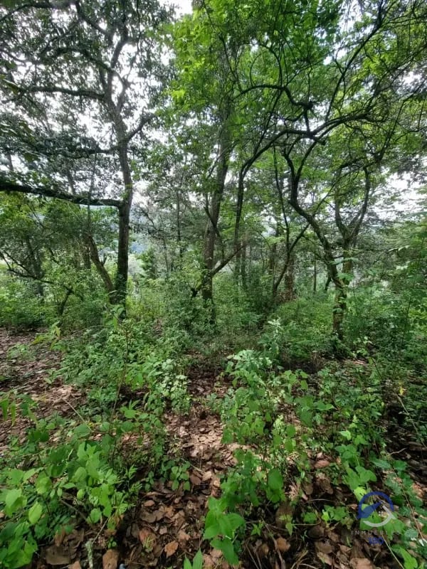 Terreno en Venta en Finca Los Manzanales, Santiago Sacatepéquez, Sacatepéquez — Terreno en Venta en Santiago Sacatepéquez, Sacatepéquez — foto 5 de 7
