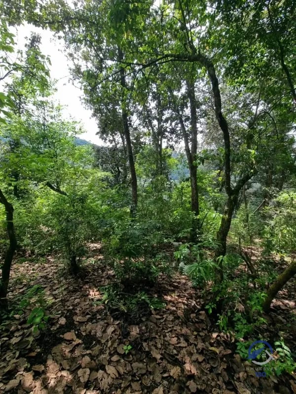 Terreno en Venta en Finca Los Manzanales, Santiago Sacatepéquez, Sacatepéquez — Terreno en Venta en Santiago Sacatepéquez, Sacatepéquez — foto 4 de 7
