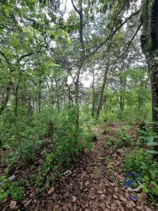 Terreno en Venta en Finca Los Manzanales, Santiago Sacatepéquez, Sacatepéquez — Terreno en Venta en Santiago Sacatepéquez, Sacatepéquez — miniatura 3 de 7