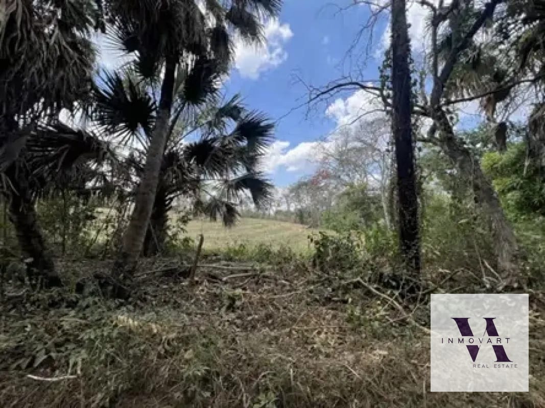 Vendo terreno en Escuintla frente a Carretera a Siquinala — Terreno en Venta en Escuintla, Escuintla — foto 4 de 6